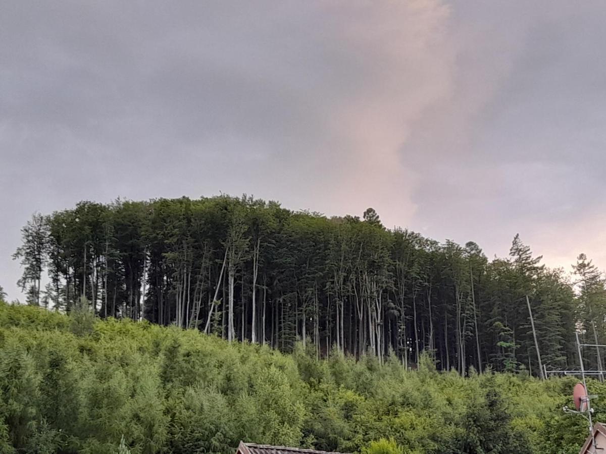 Pohoda Salas U Velehradu-2 Apartmany Uherské Hradiště Exteriör bild